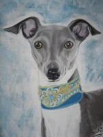 /album/galerie-photos/photo-1140-jpg/